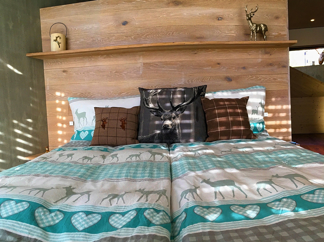 MOUNTAIN CHALET AMDEN RESORT B&B