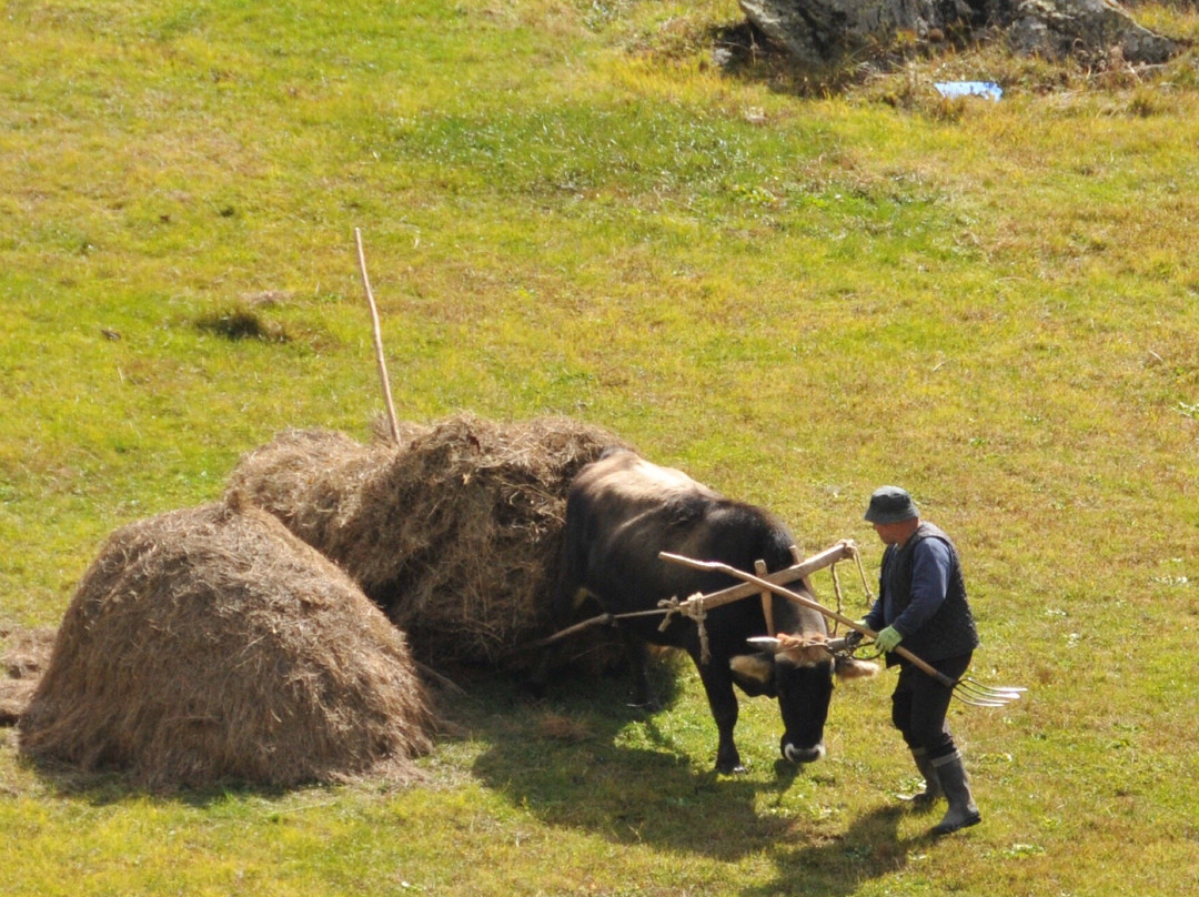 Ushguli ethnographic Museum-Ushguli必去景点