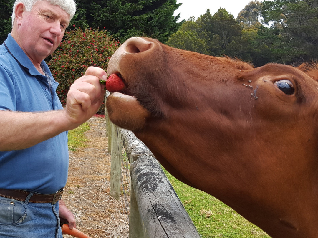 The Grange on Shadforth主图