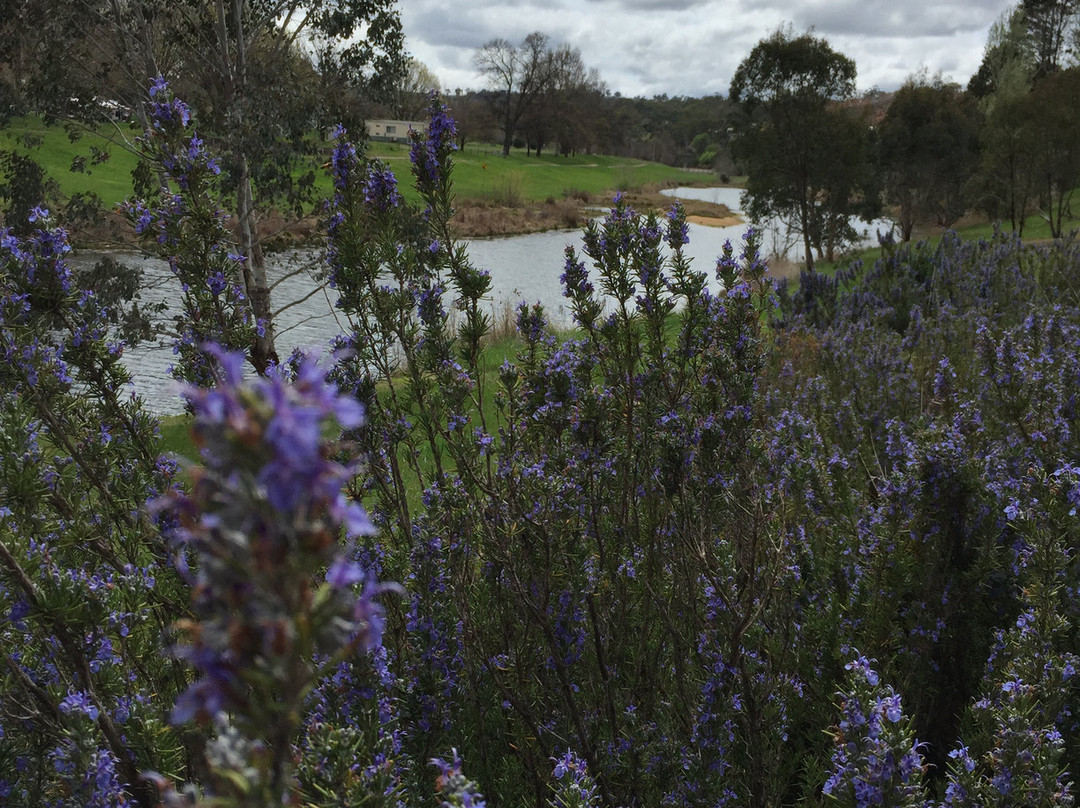 River Walk-Bombala必去景点