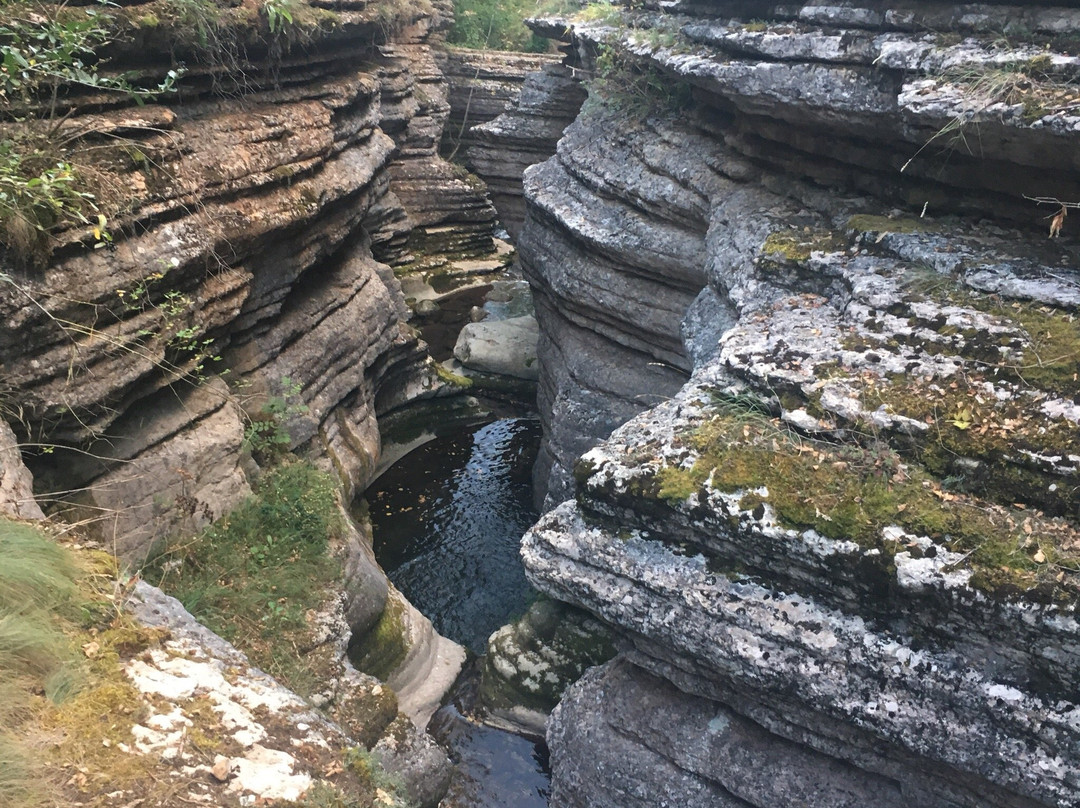 Georgi-Damyanovo旅游攻略图片