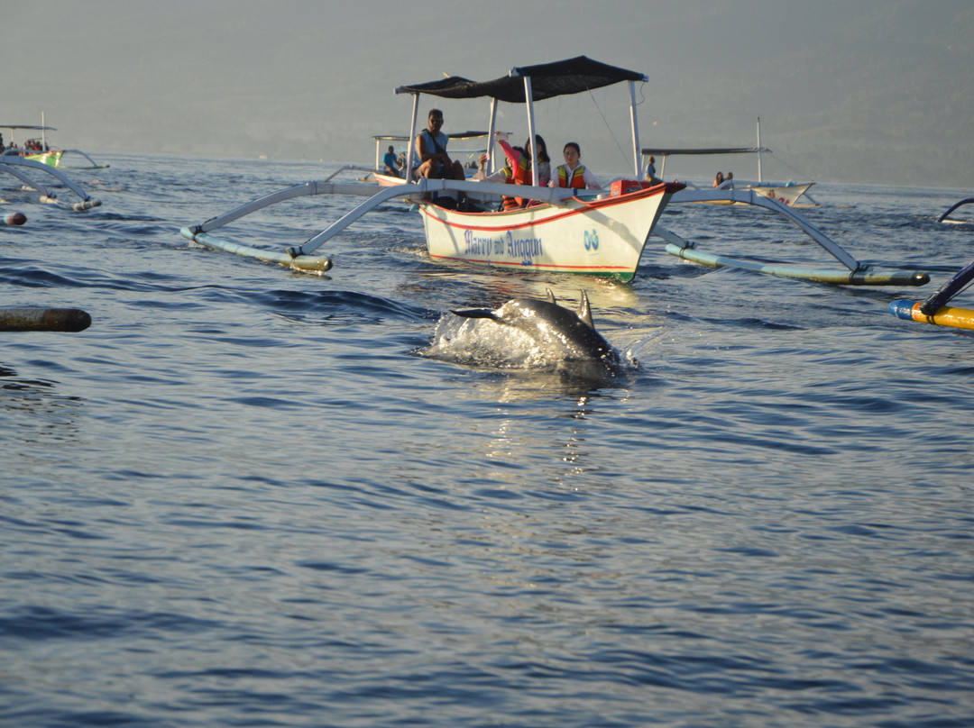 Starlingbali-吉利马努克必去景点