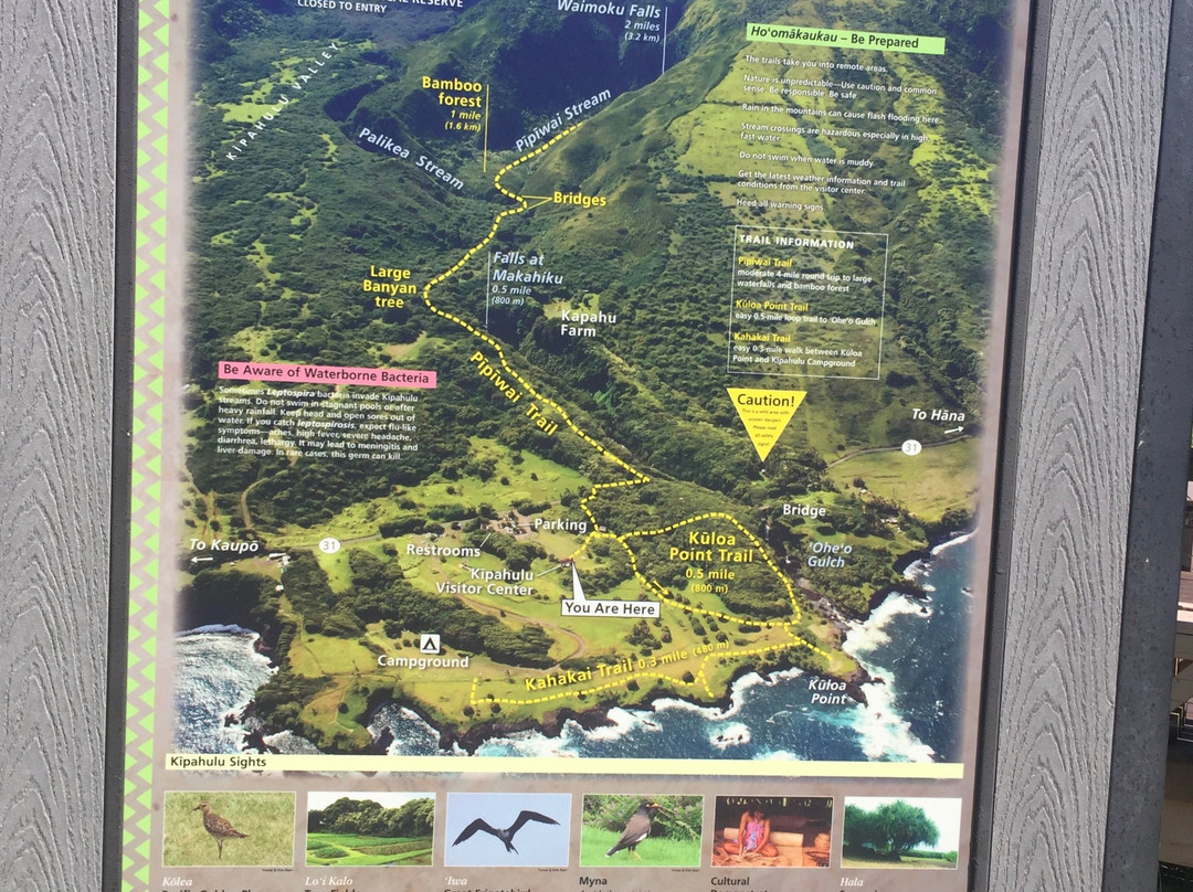 Waimoku Falls景点图片