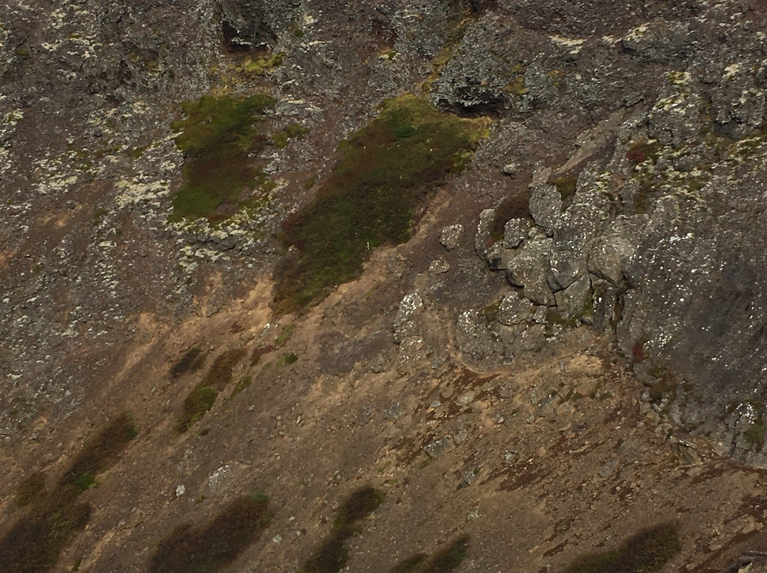 Eldborg Crater景点图片