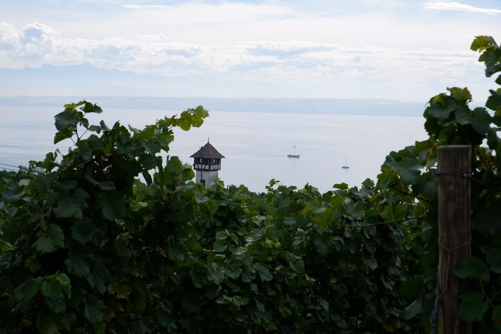 Rebhauschen am Bodensee景点图片