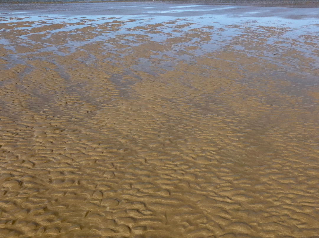 Murray Mouth-Goolwa必去景点