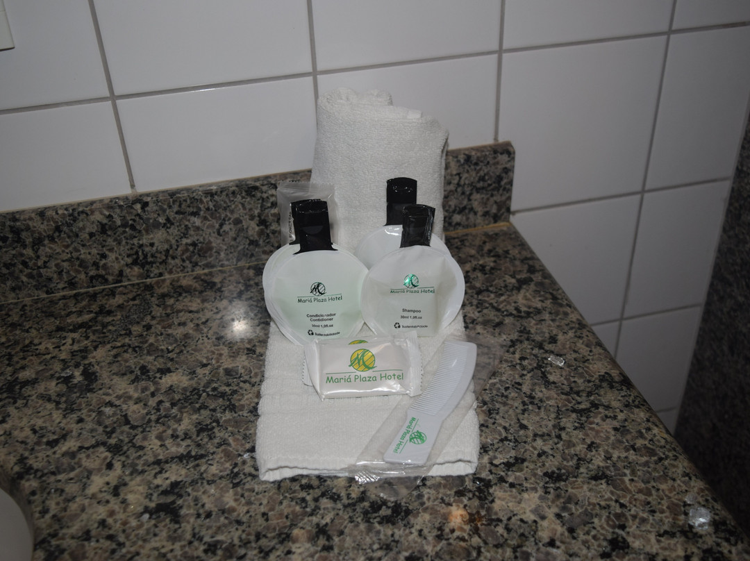 Maria Plaza Hotel主图