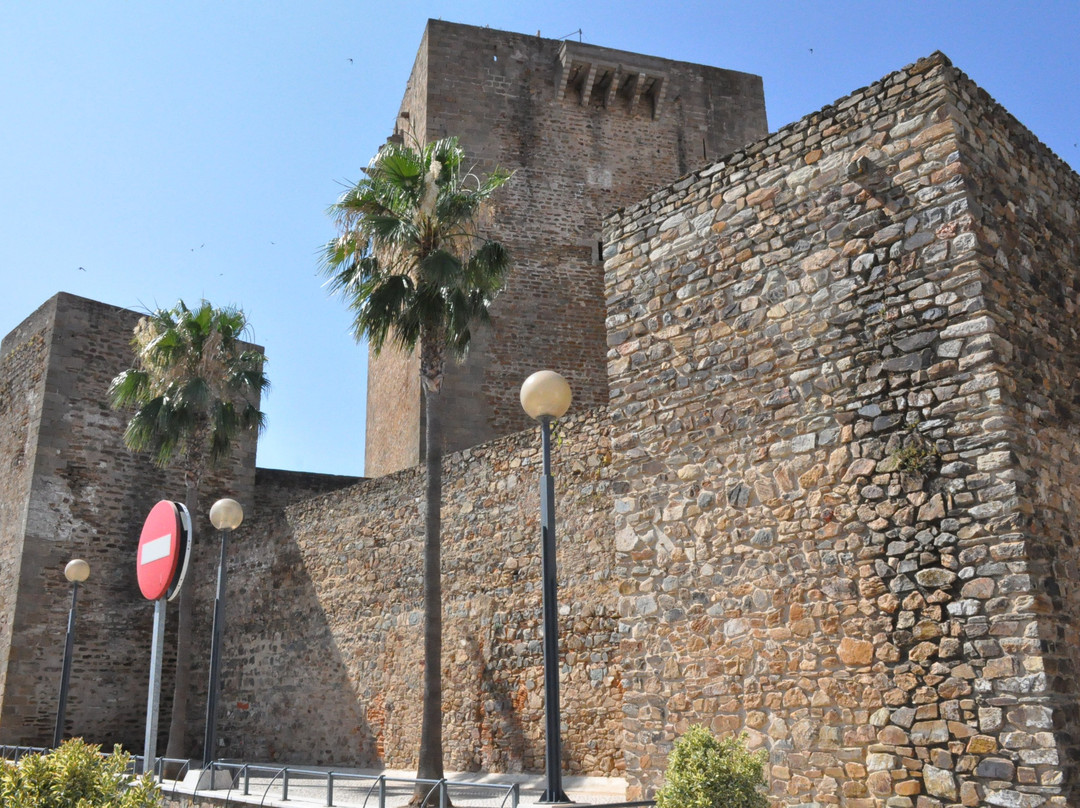 El Alcazar & La Torre Del Homenaje景点图片