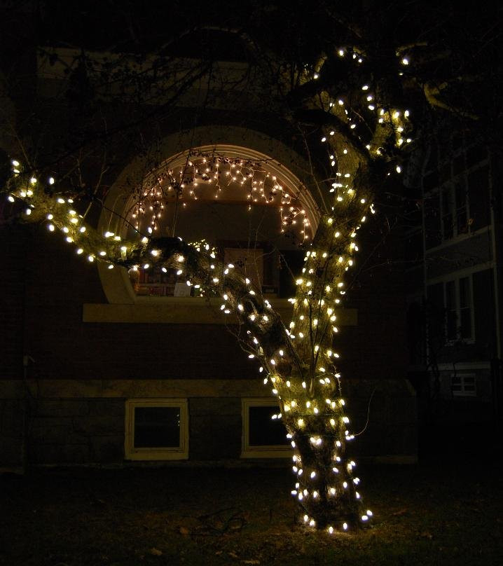 Whiting Library-Chester必去景点