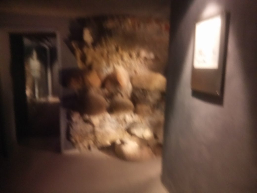 Graabrodrekloster Museet-奥尔堡必去景点