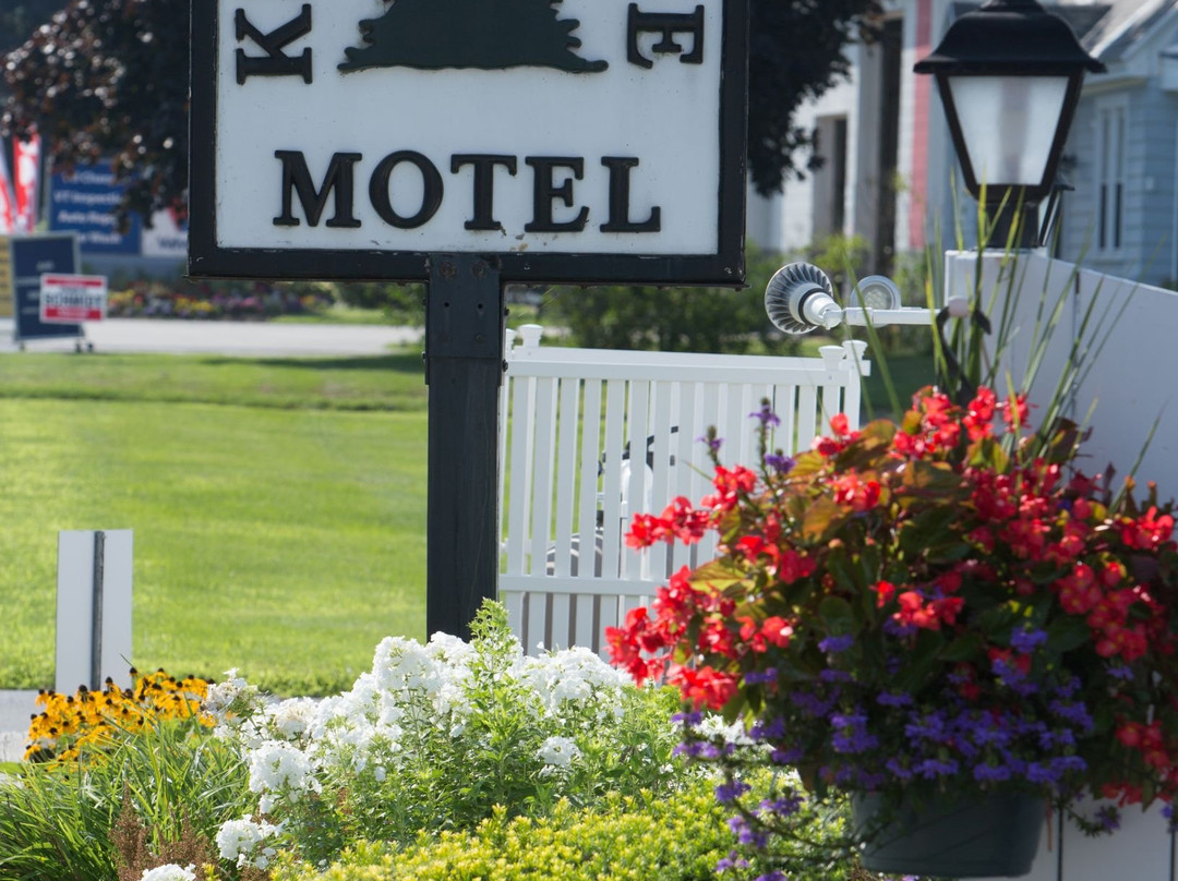 Knotty Pine Motel主图