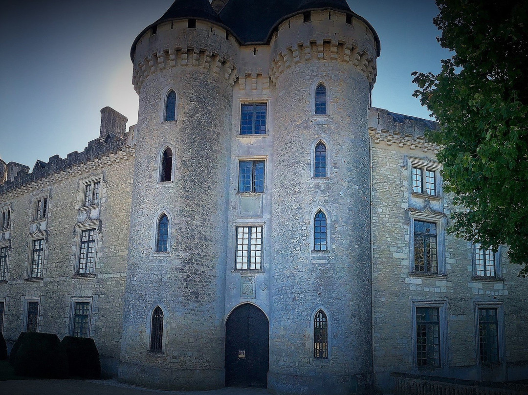 Château de Verteuil景点图片