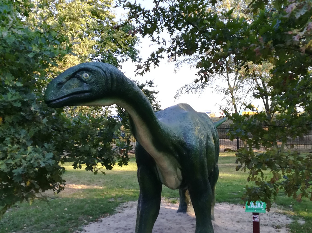 Zoo Lubin - Ogród Zoologiczny W Lubinie景点图片