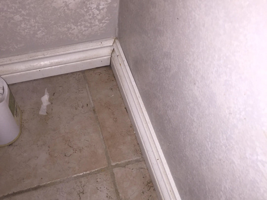 Newaygo Bed & Breakfast主图