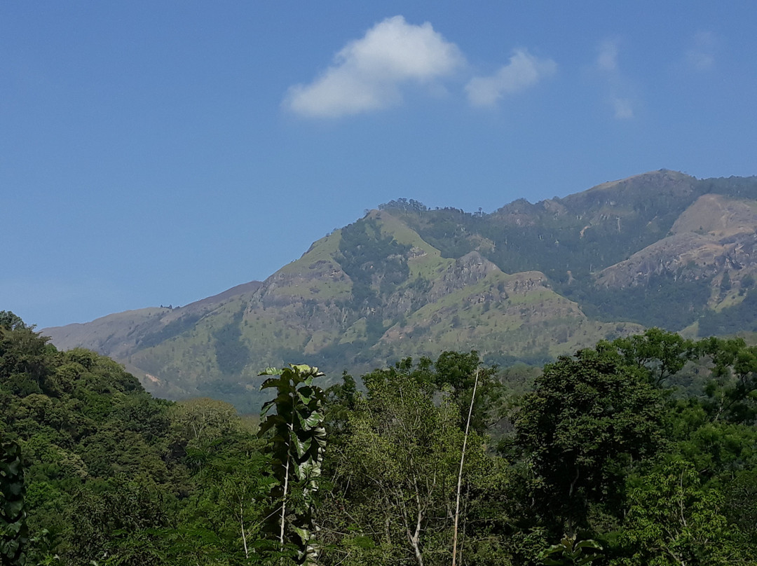 Ella Non Touristic-埃勒必去景点