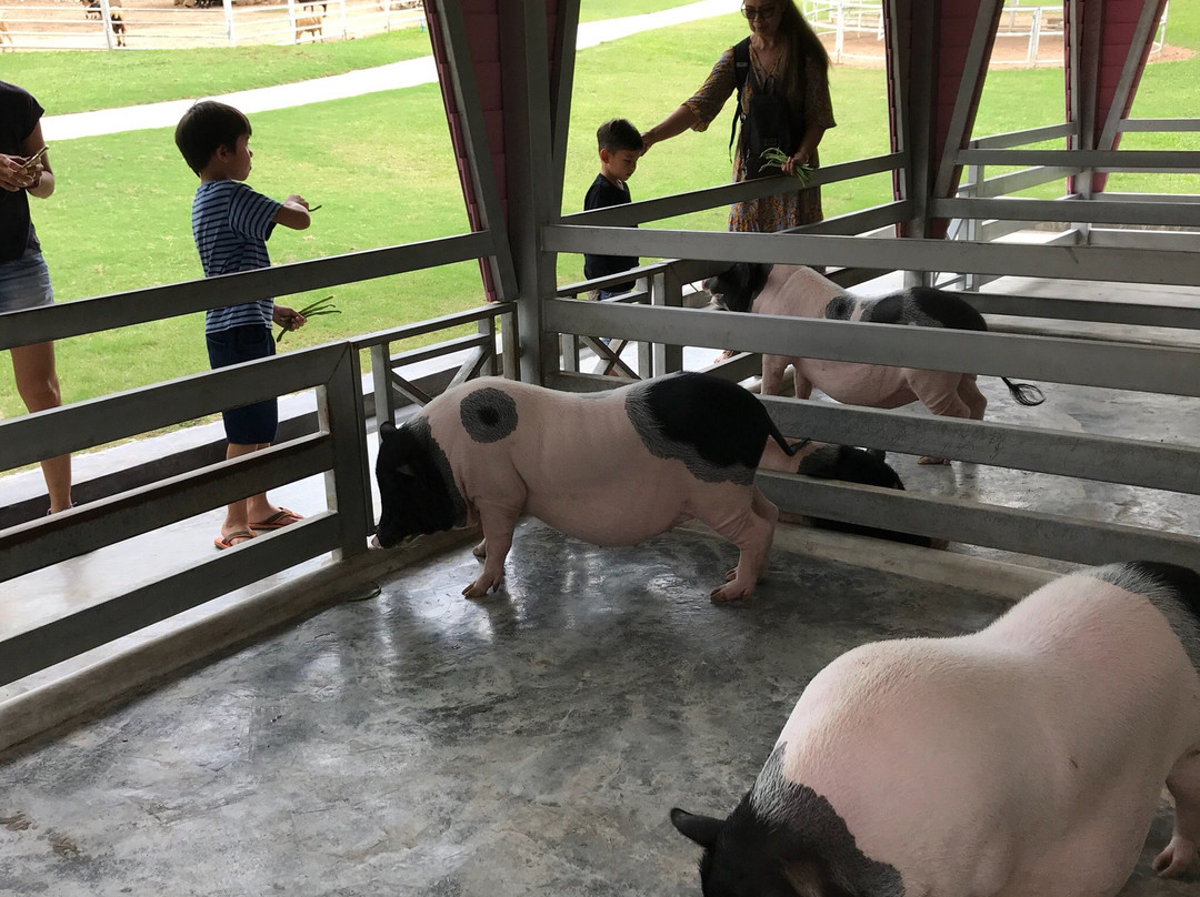 Hug Village-廊塞必去景点