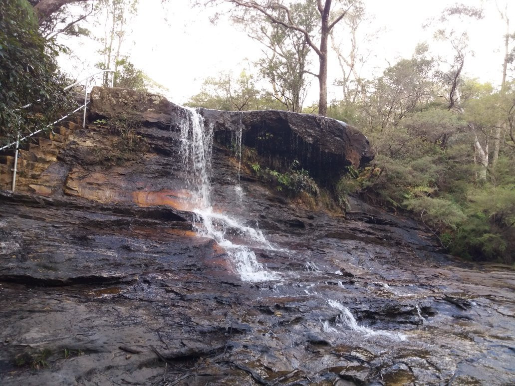 Wildlife Tours Australia-悉尼必去景点