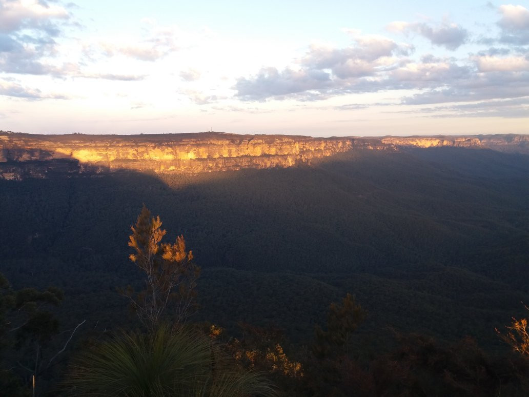 Wildlife Tours Australia-悉尼必去景点