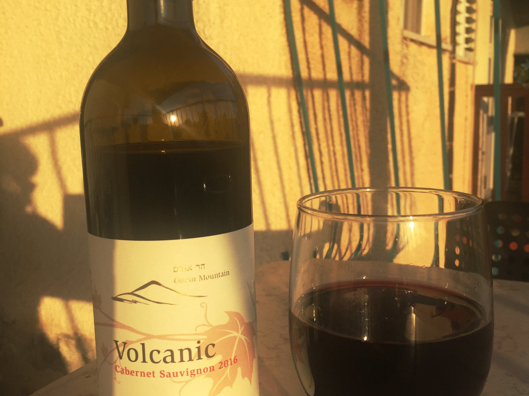 Har Odem Winery-Odem必去景点