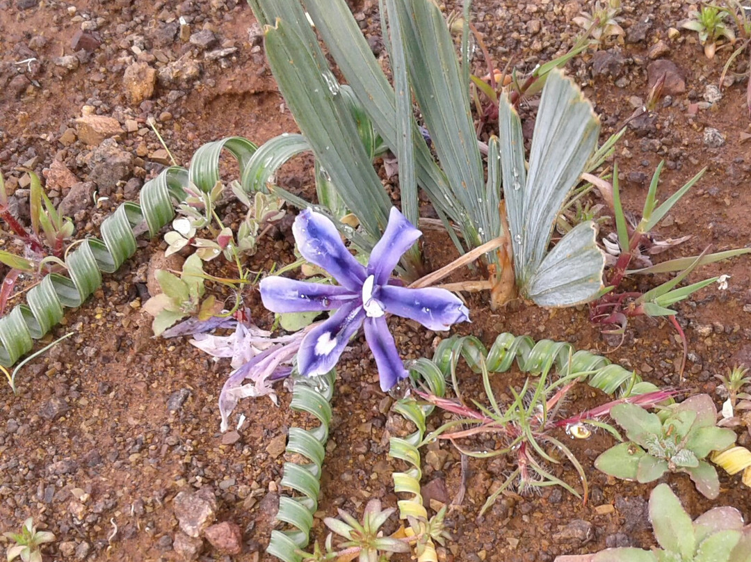 Akkerendam Nature Reserve