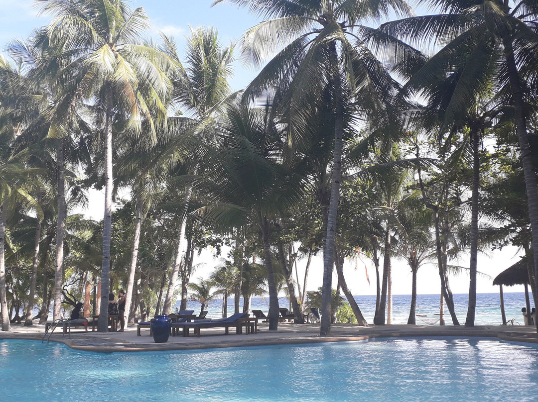 椰树林海滩度假村主图