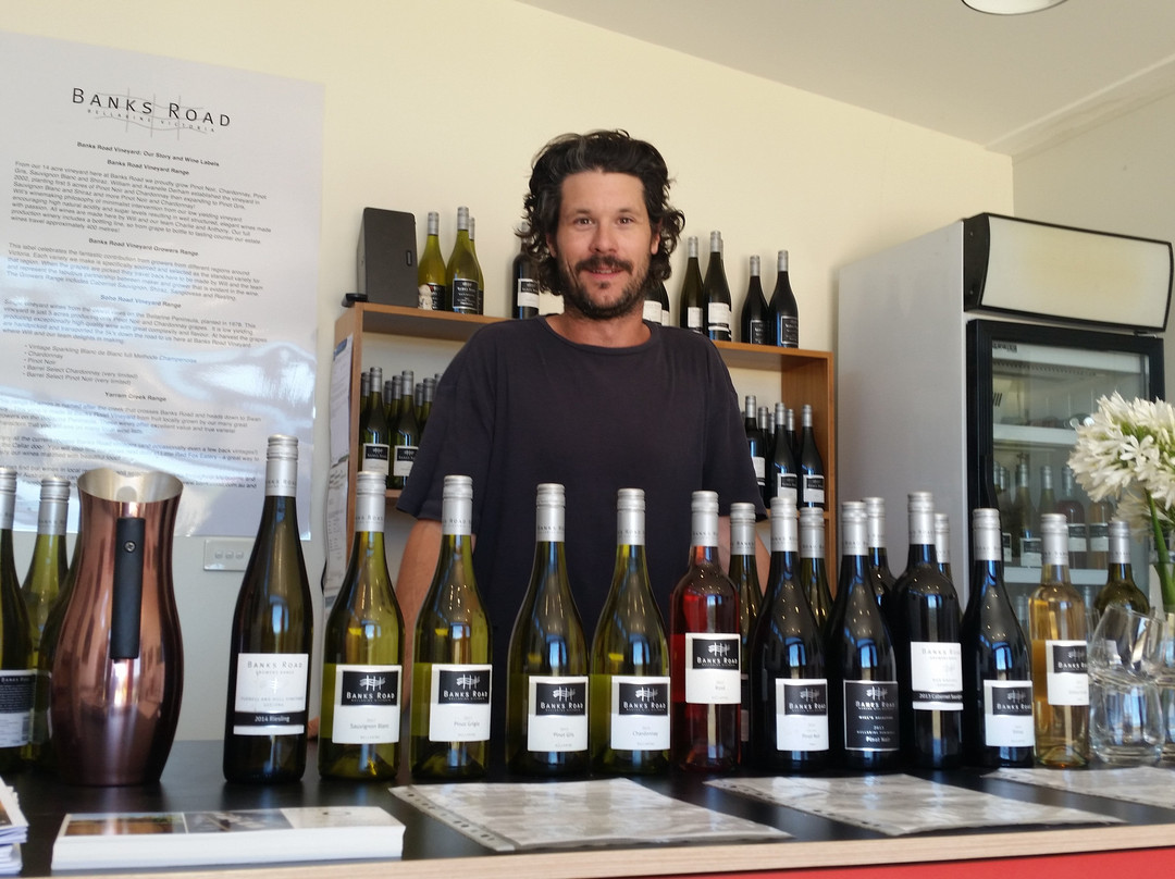 Geelong Winery Tours-吉朗与贝拉里尼必去景点