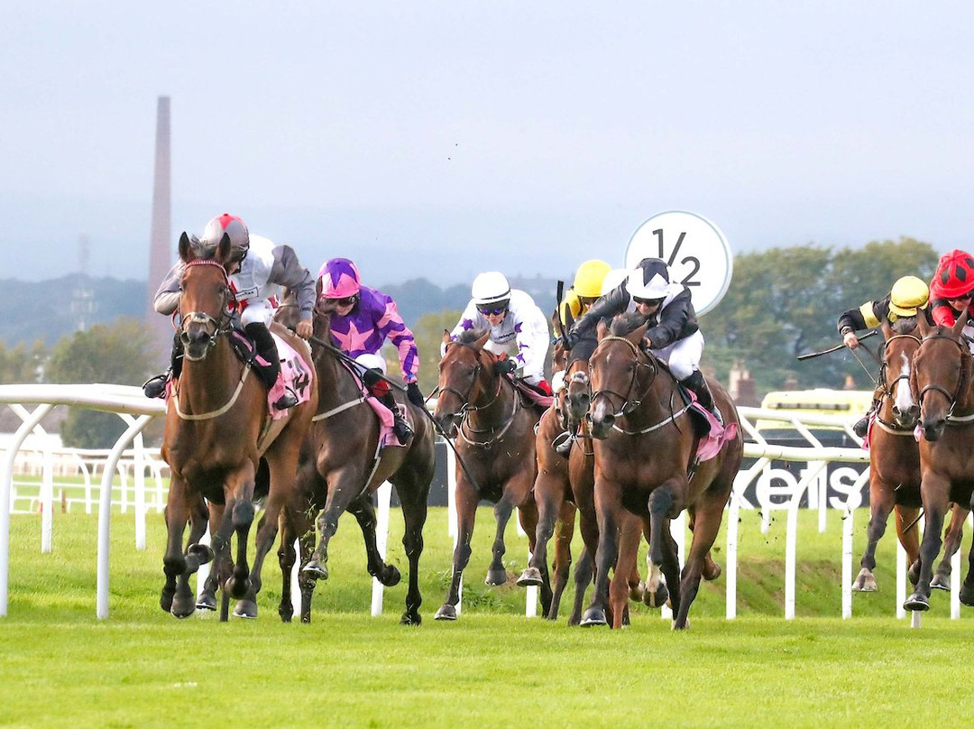 Carlisle Racecourse-卡莱尔必去景点