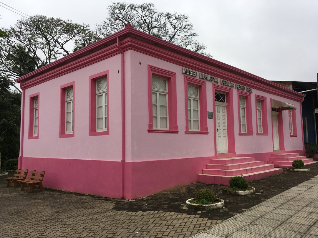 Museu Municipal Delmar Pedro Fell景点图片