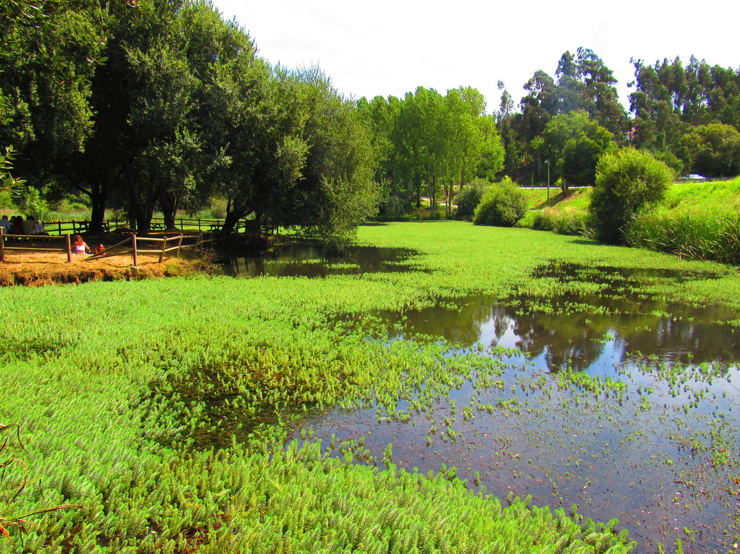 Ponte medieval do Rio Marnel景点图片