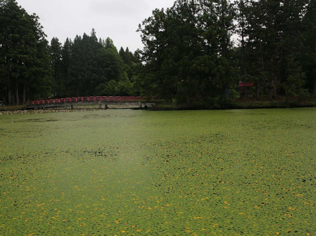 Omatsu no Ike Pond-南鱼沼市必去景点