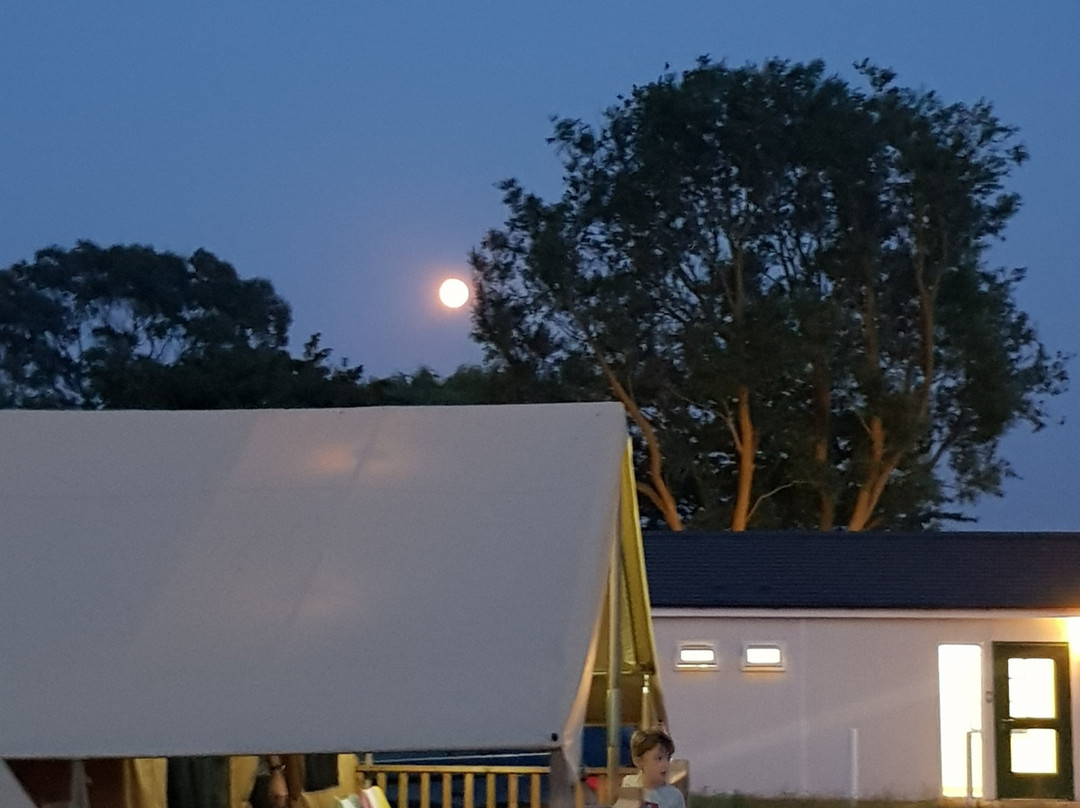Mablethorpe Camping and Caravanning Club Site