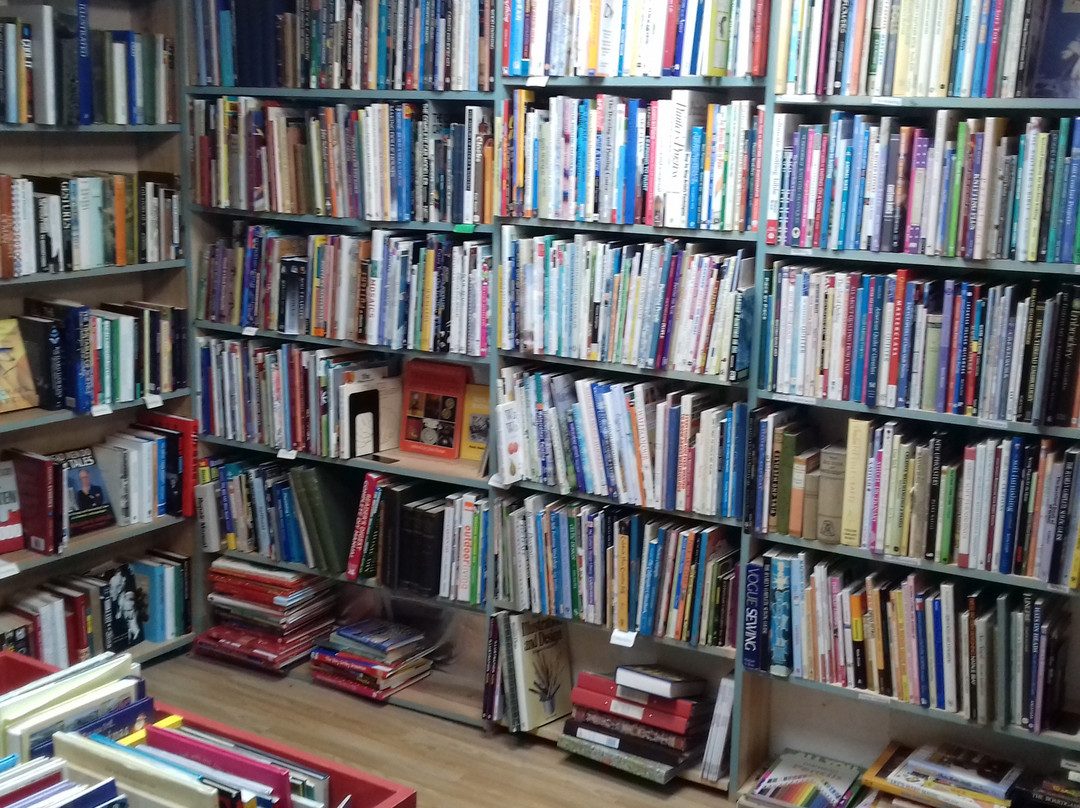 Daisyroots Book Shop景点图片