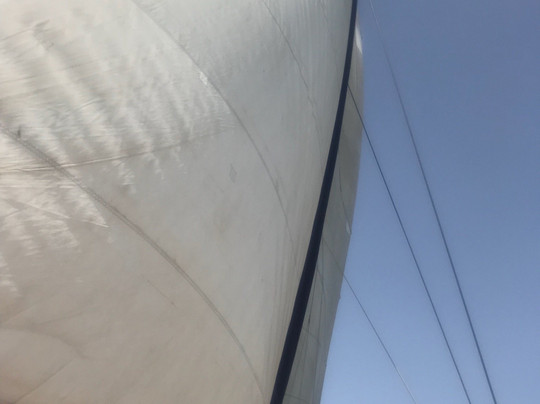 Mundo Marino Altea-阿尔特阿必去景点