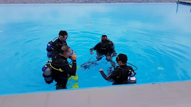 Sealife Scuba Diving-沙尔必去景点