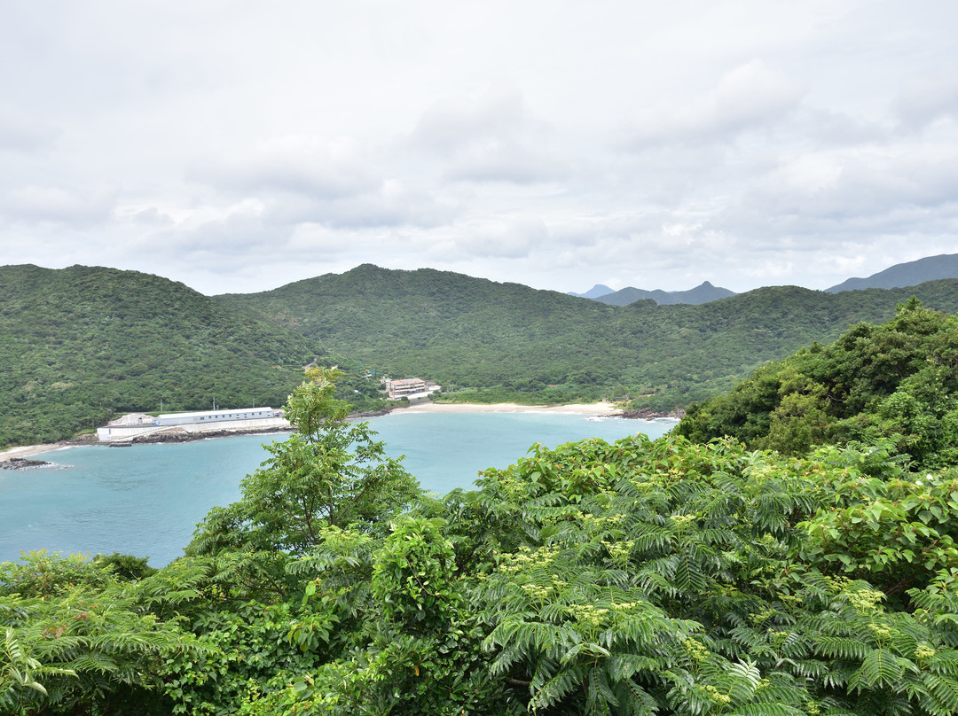 南萨摩市旅游攻略图片