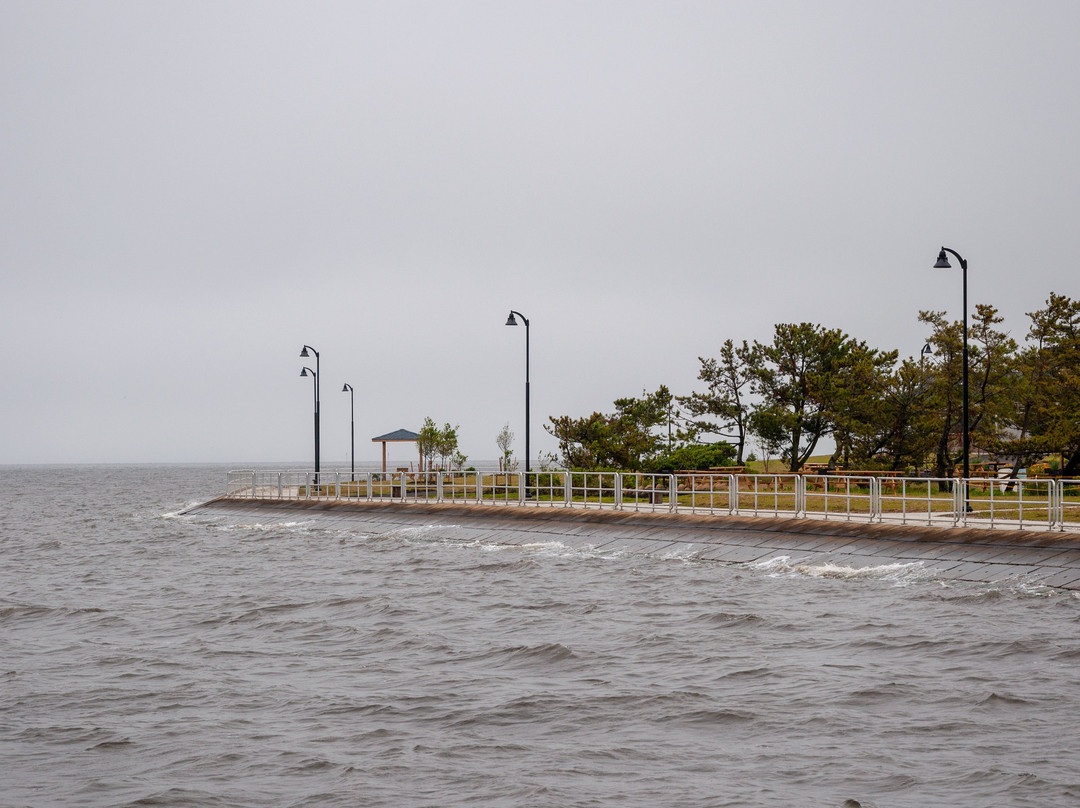 John C. Bartlett, Jr. County Park at Berkeley Island景点图片