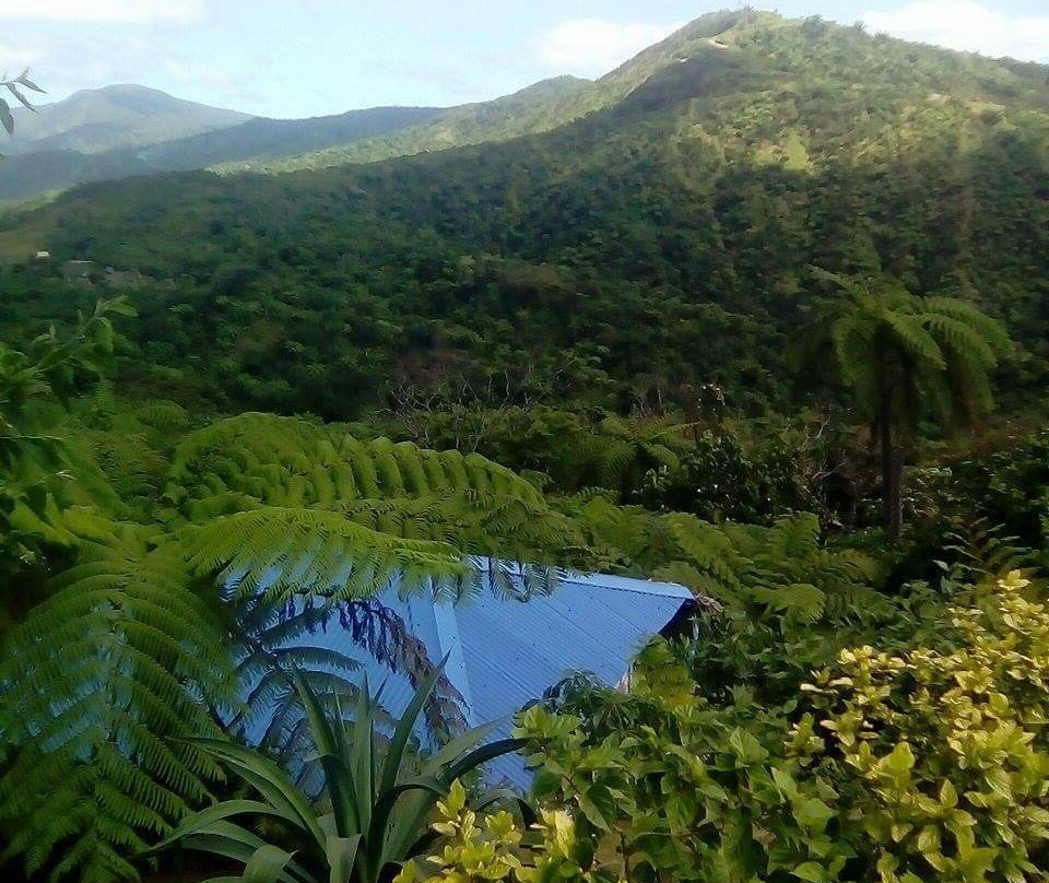 Tanna Top View Bungalows主图