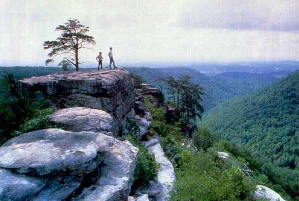 Best Western Dayton主图