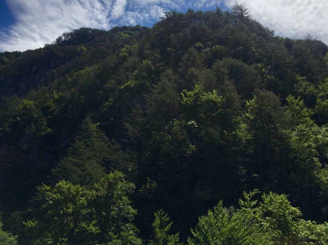 Riserva Naturale Val Alba景点图片