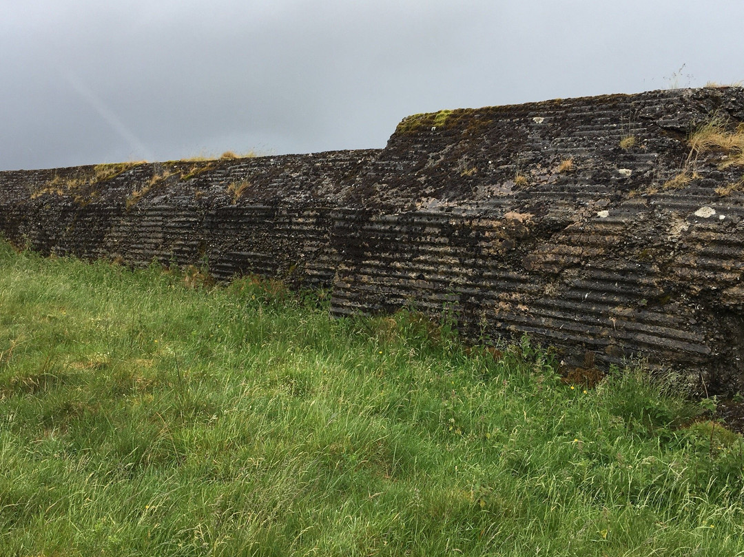 Atlantic Wall on Sheriffmuir景点图片