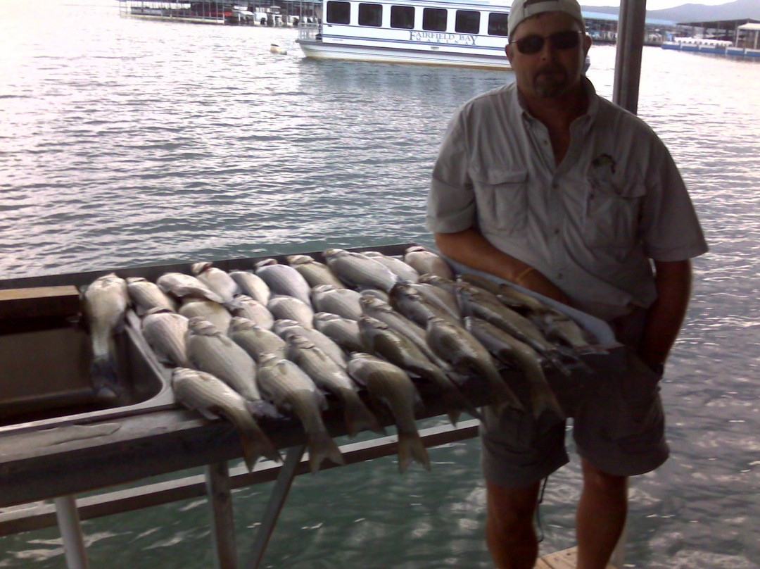 Tommy Cauley: Fishing Guide Service Greers Ferry Lake景点图片