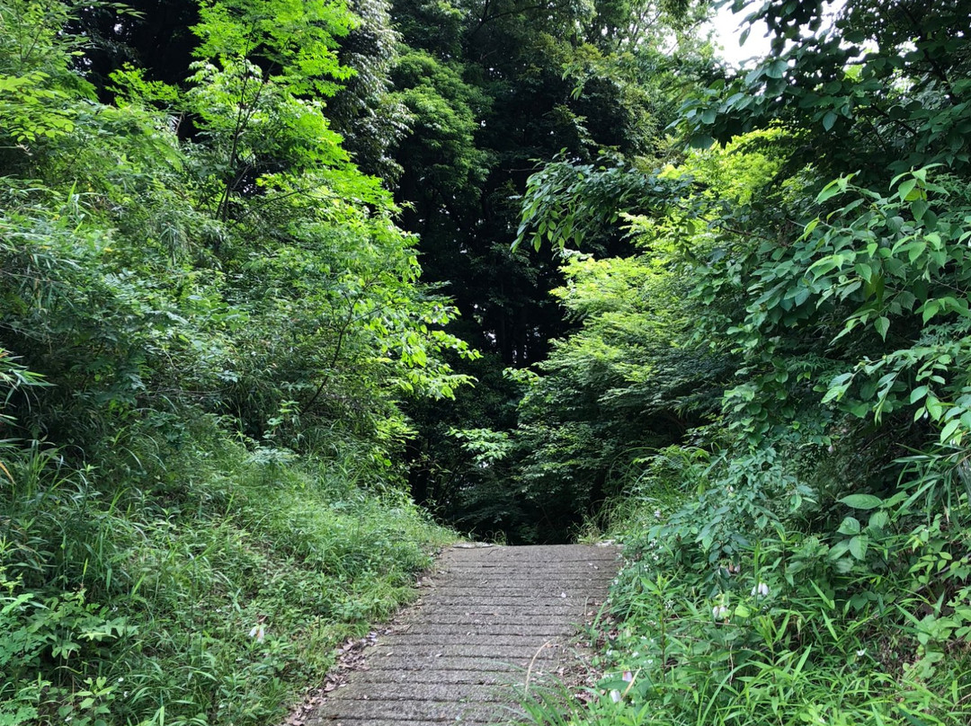 Motosakura Castle Ruins-酒酒井町必去景点