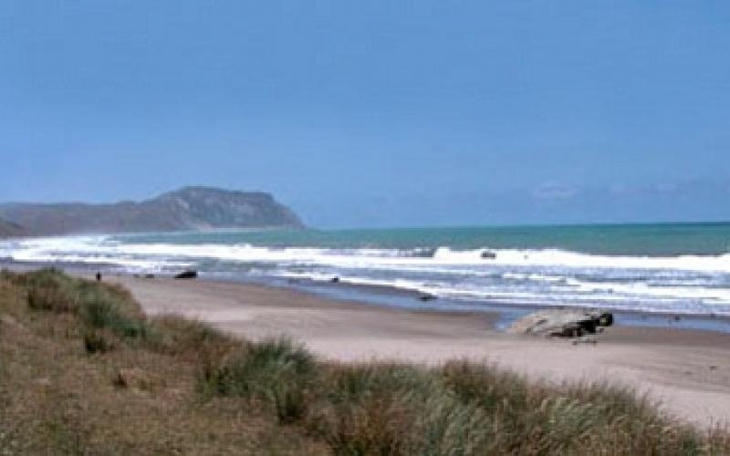 Tararua isite Visitor Information Centre景点图片