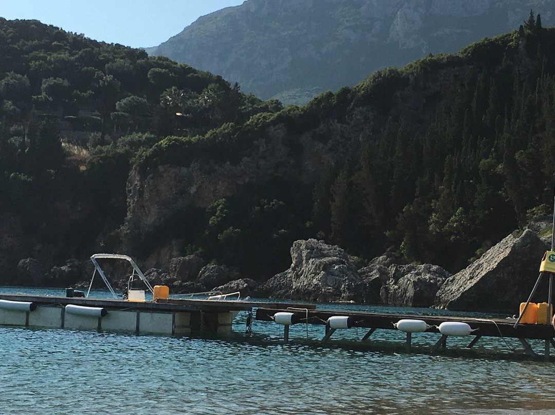 Ninos Boat Rental景点图片