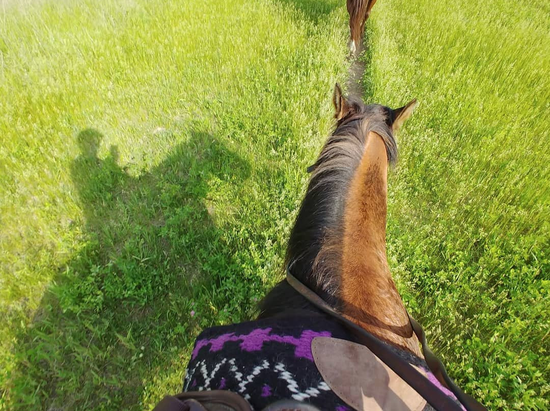 Wild 3L Ranch-Eagle必去景点