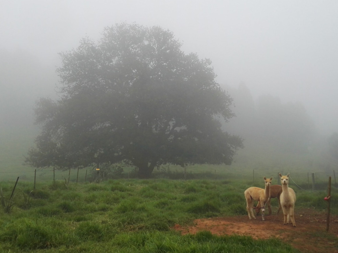 Crossroads Meander主图