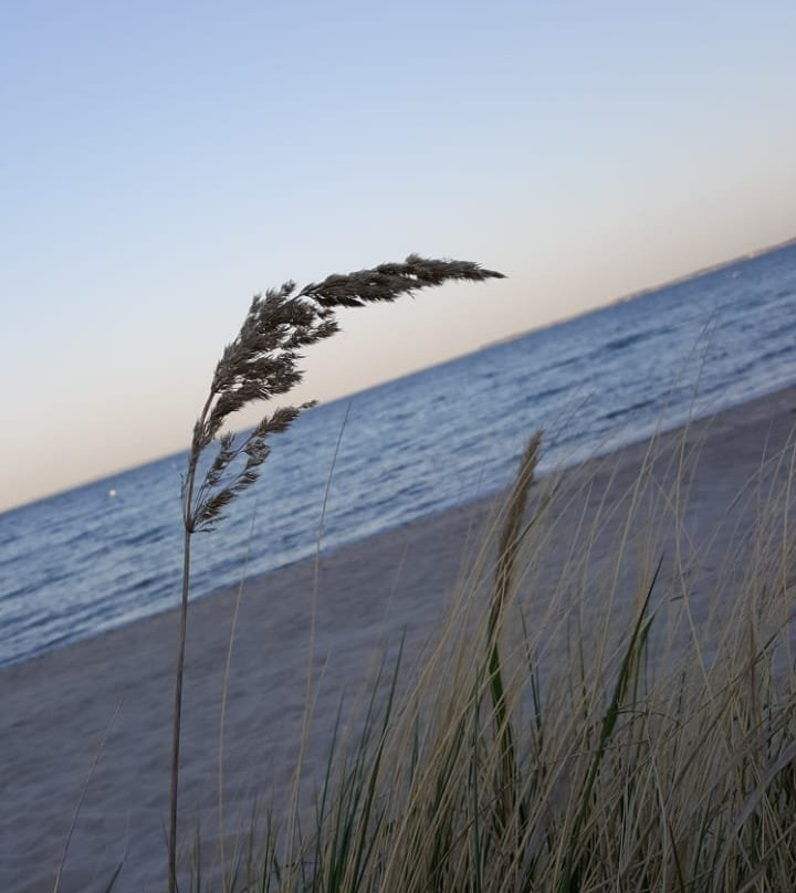 Hof Sierksdorf主图