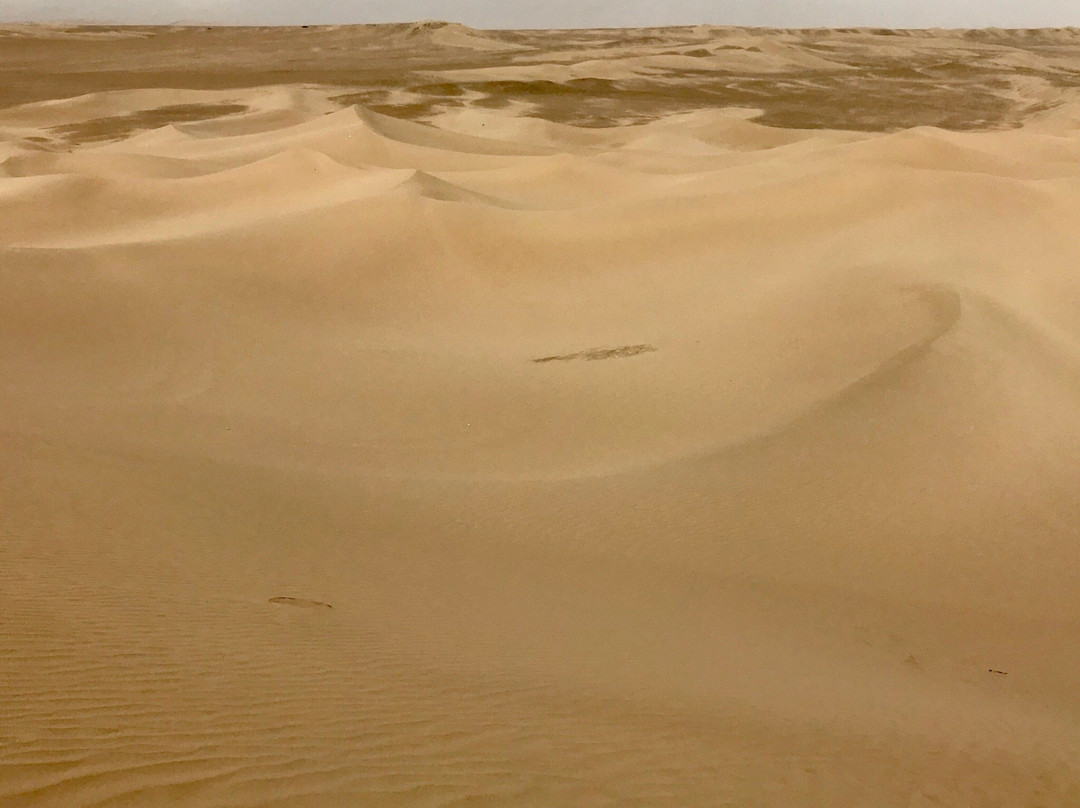 Bafgh Desert景点图片