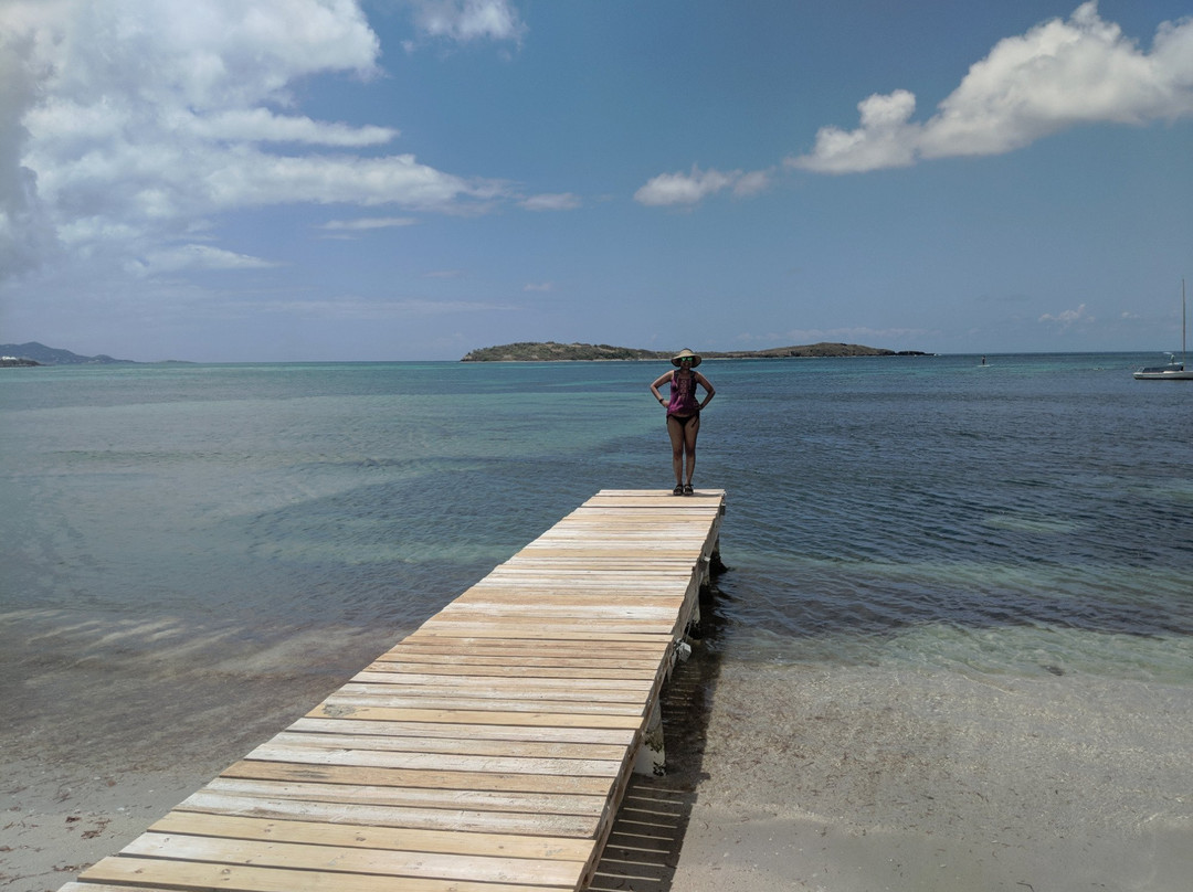 Chenay Bay Beach-圣克鲁斯必去景点