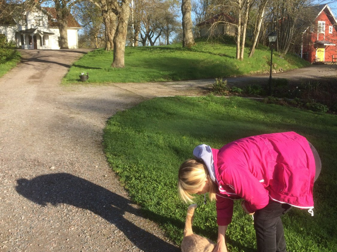 Klefstad Gård主图